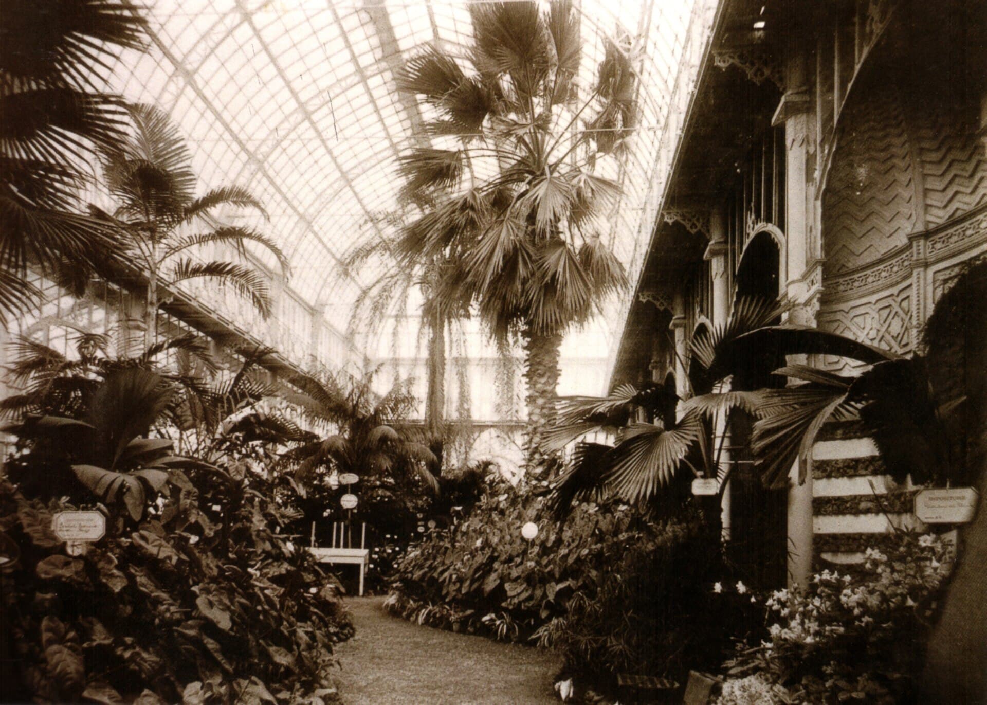 L’interno del Tepidario Roster in una fotografia dei primi del Novecento.