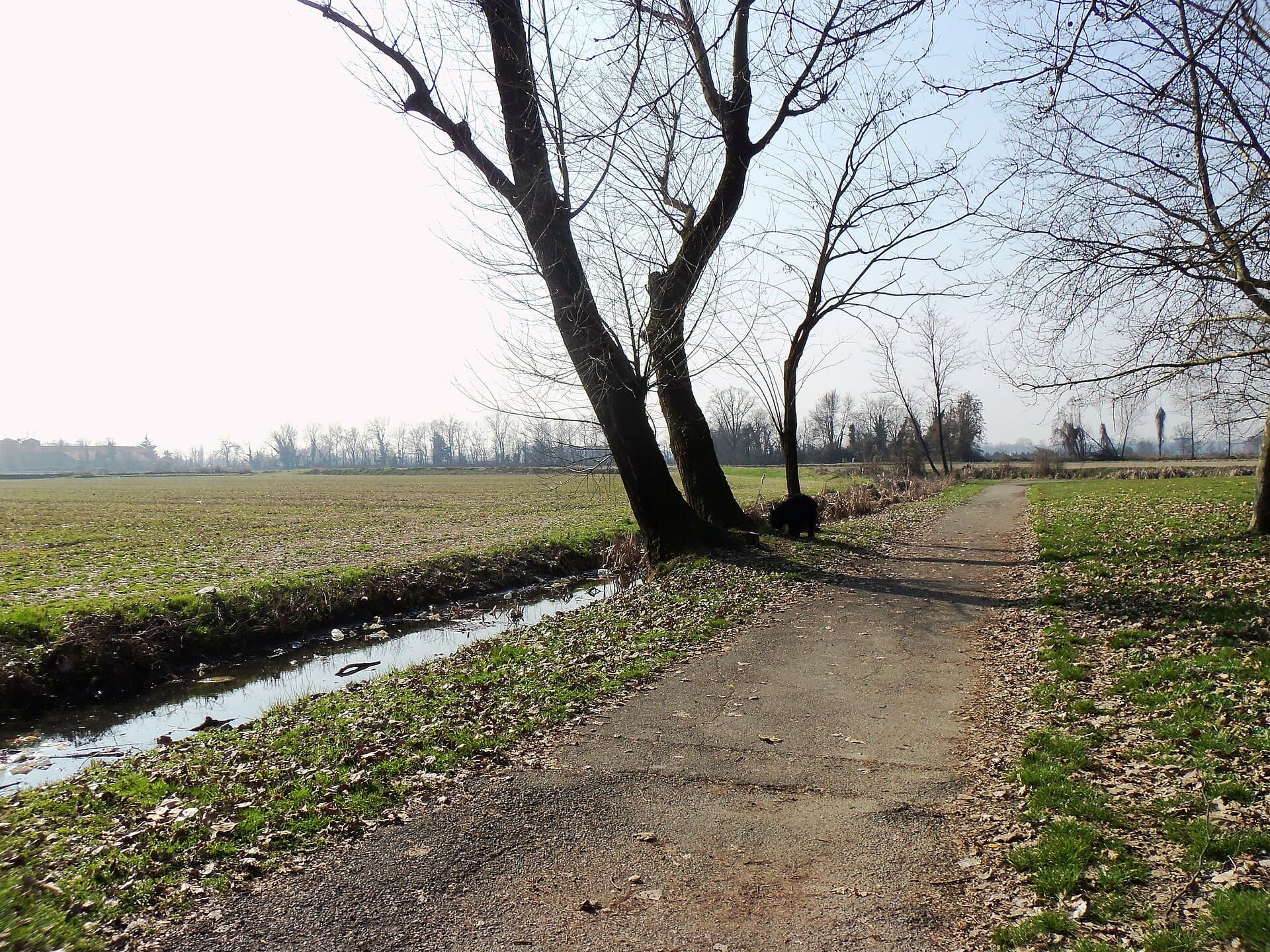 Il viale d’ingresso del parco Andrea Campagna, alla Barona.