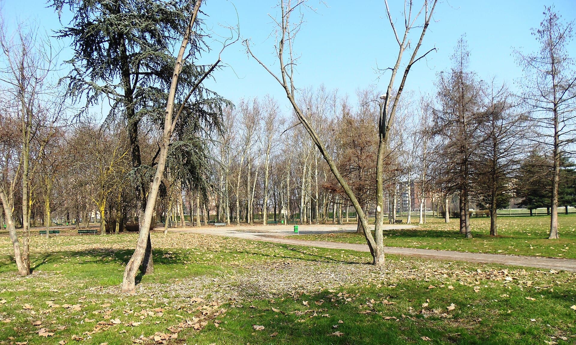 I prati del parco Andrea Campagna, alla Barona, a Milano.